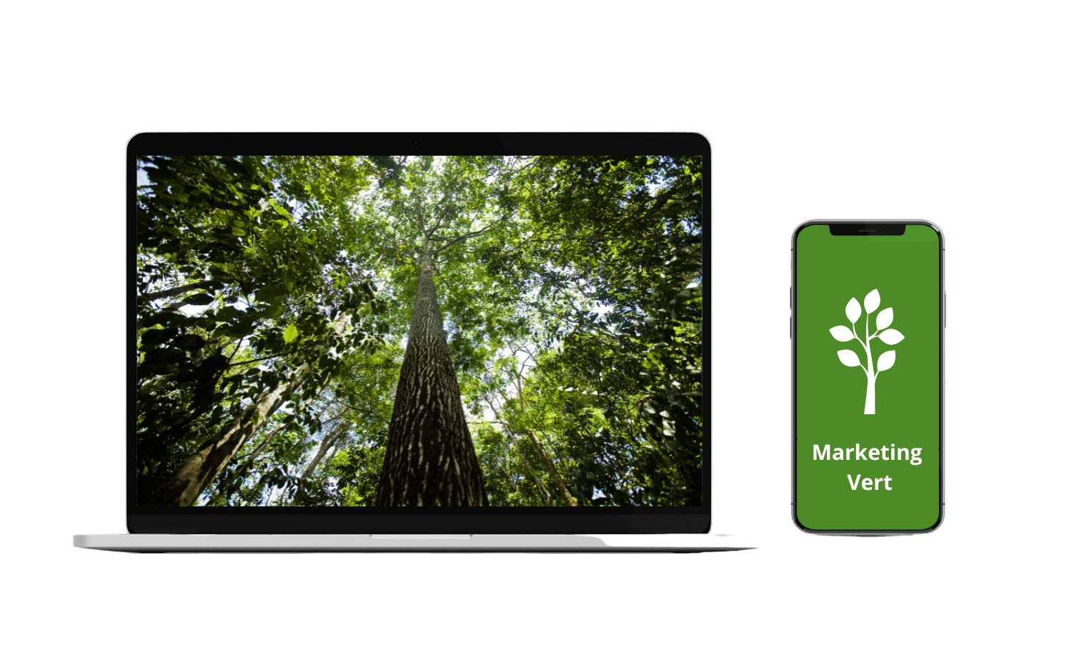 Un écran d'ordinateur accompagné d'un smartphone illustrant des arbres