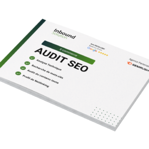 Audit SEO E-commerce